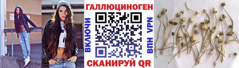 нарко площадка формула  omg онион  Полярные Зори  Галлюциногенные грибы Cubensis 